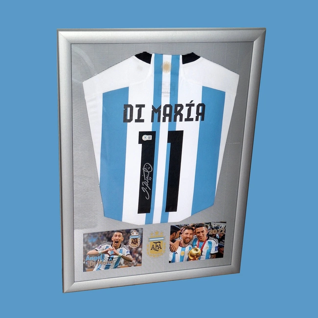 cover of the auction item