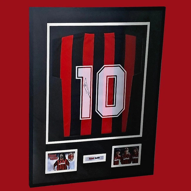 cover of the auction item
