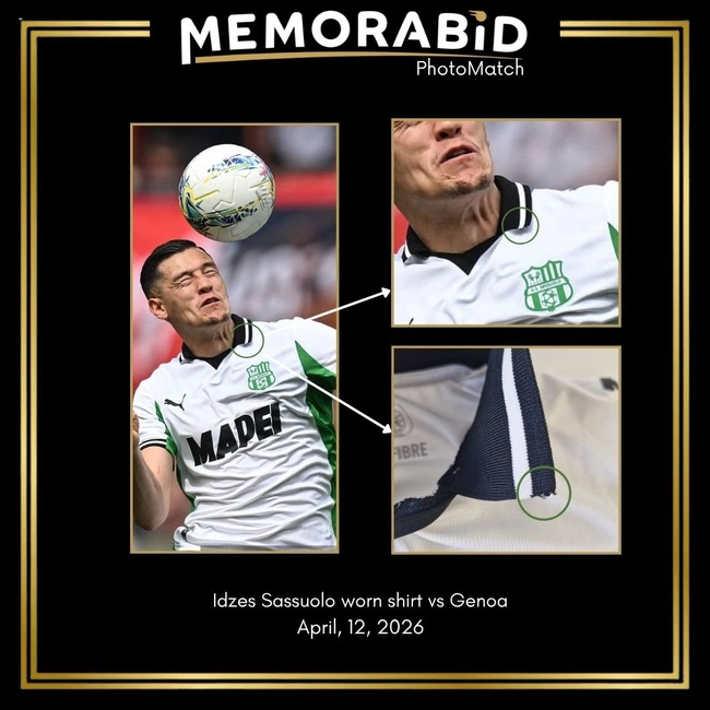 cover of the auction item