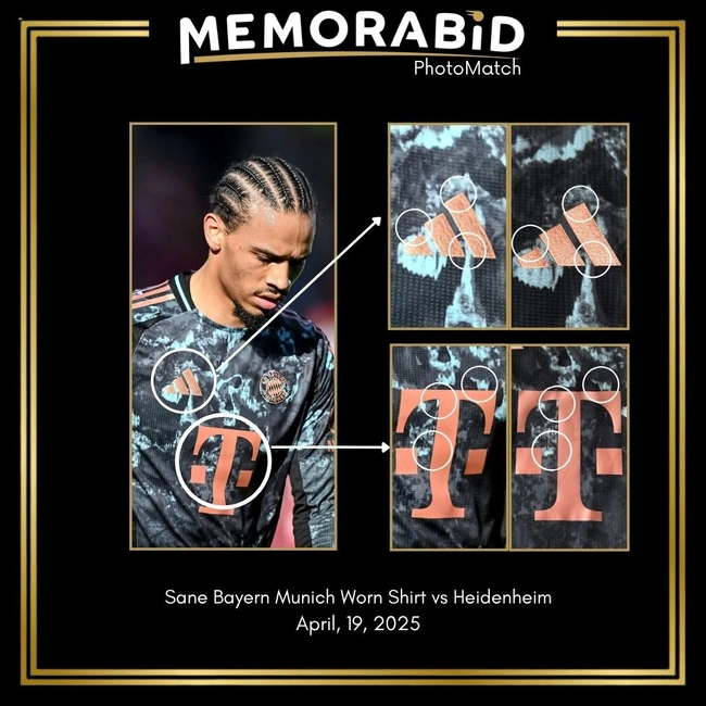cover of the auction item