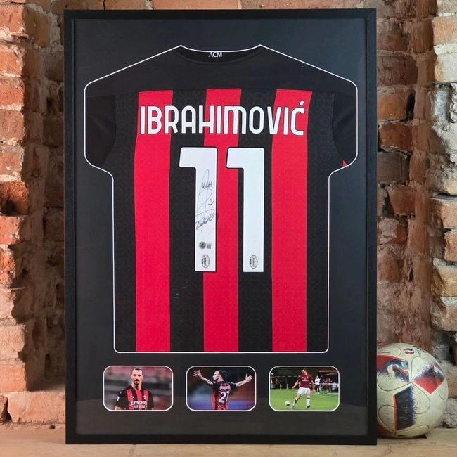 cover of the auction item