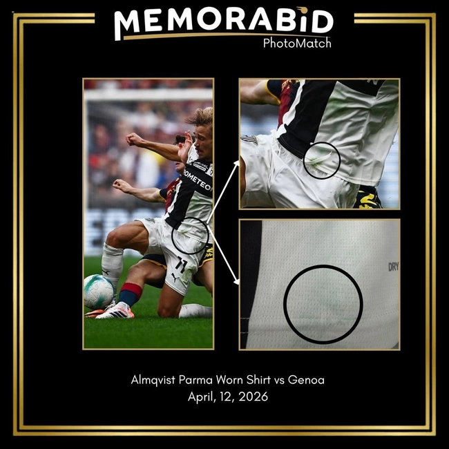 cover of the auction item
