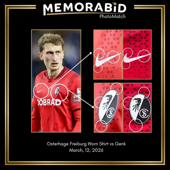 cover of the auction item