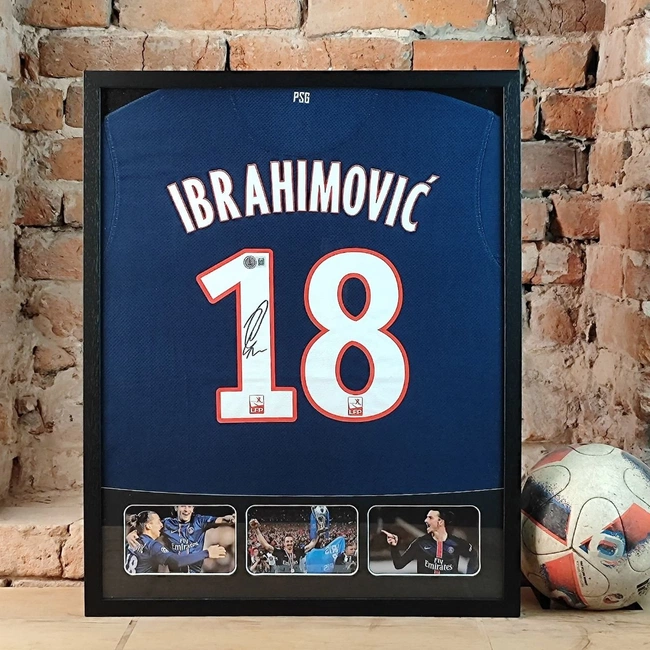 cover of the auction item