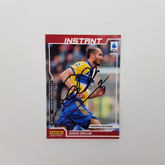 cover image of the auction item