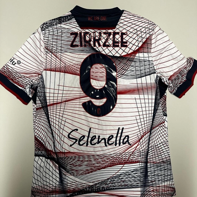 cover image of the auction item