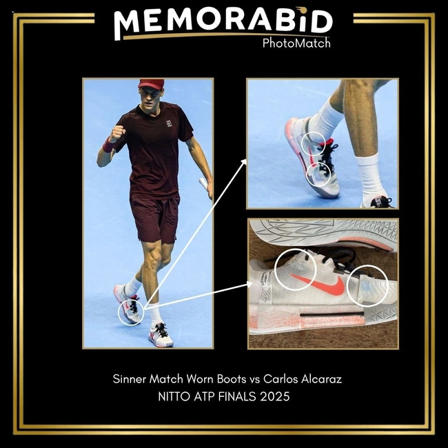 cover of the auction item