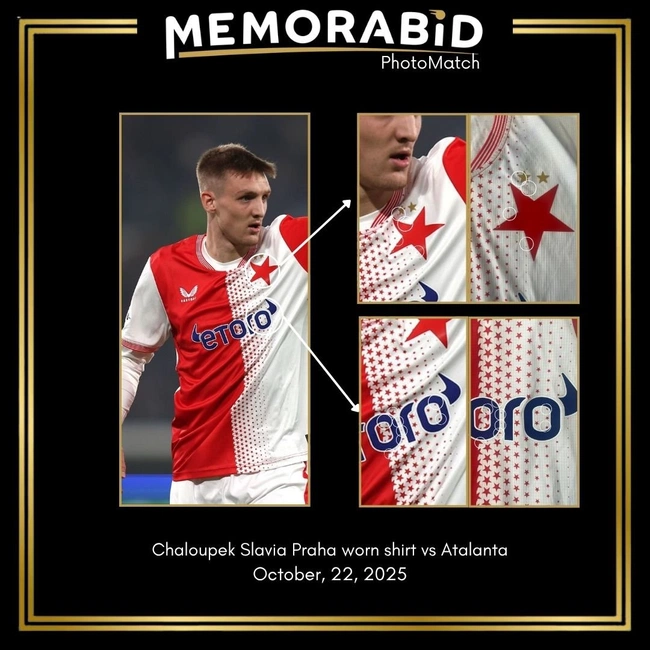 cover of the auction item