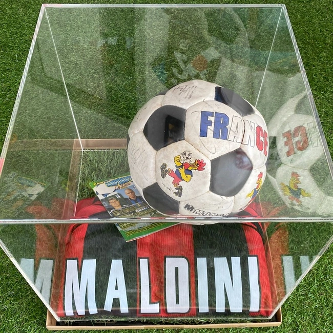 cover of the auction item