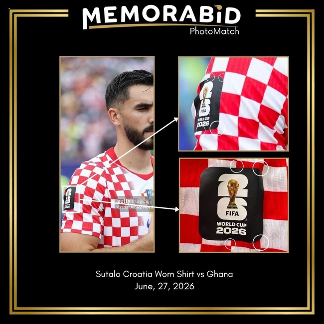 cover of the auction item