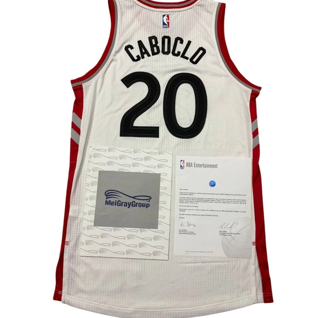 cover of the auction item