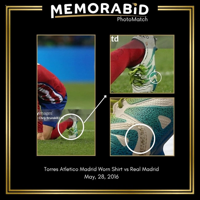 cover of the auction item
