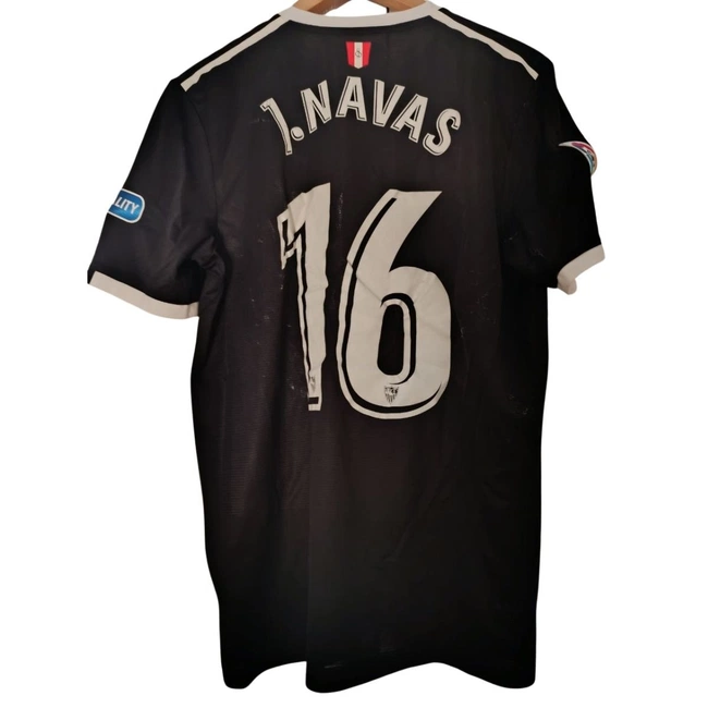 cover of the auction item