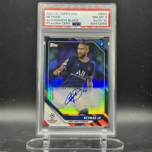 cover of the auction item