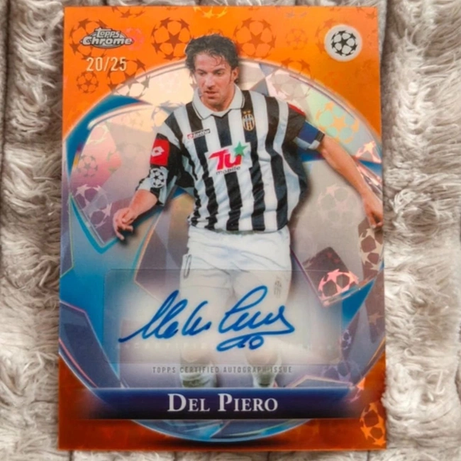 cover of the auction item