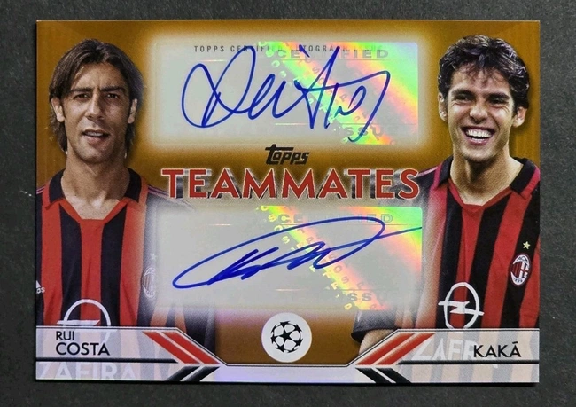cover of the auction item