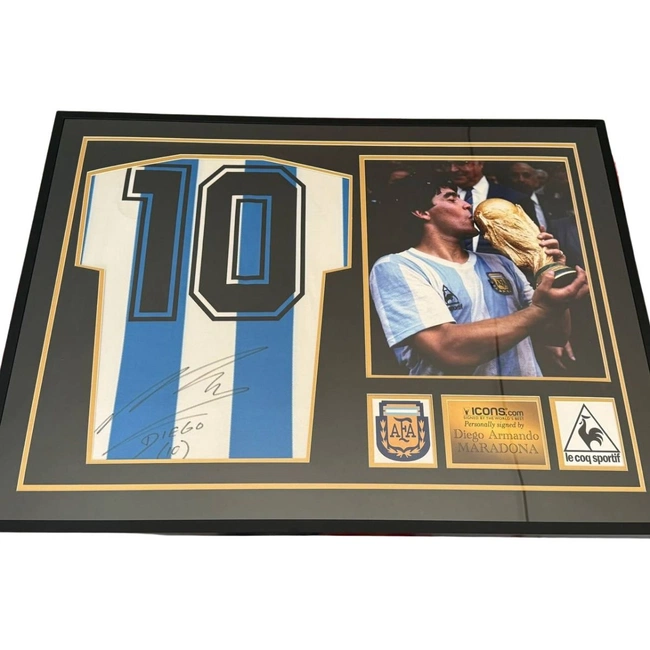 cover of the auction item
