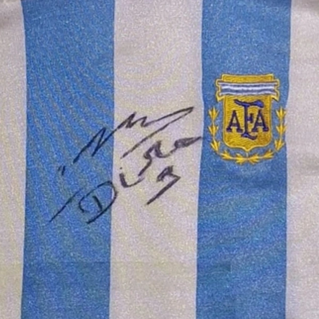 cover of the auction item