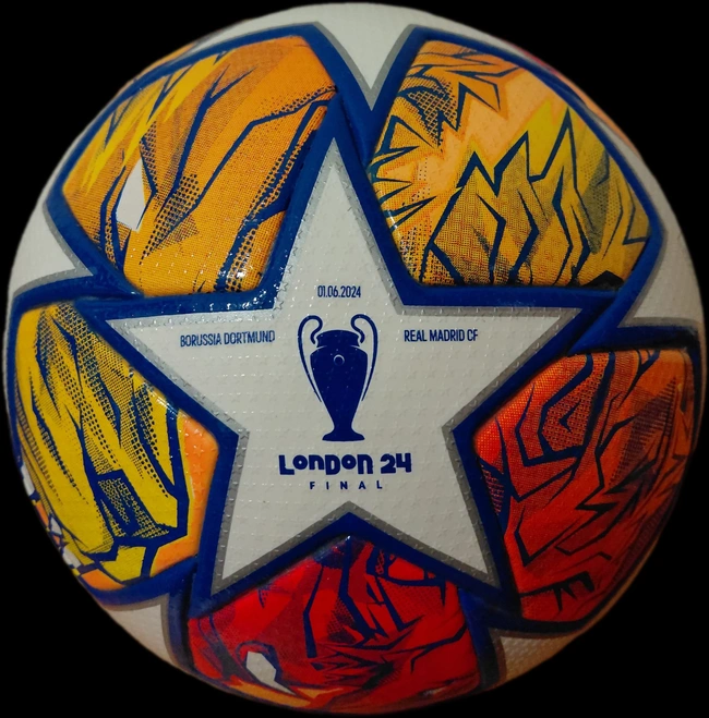cover of the auction item