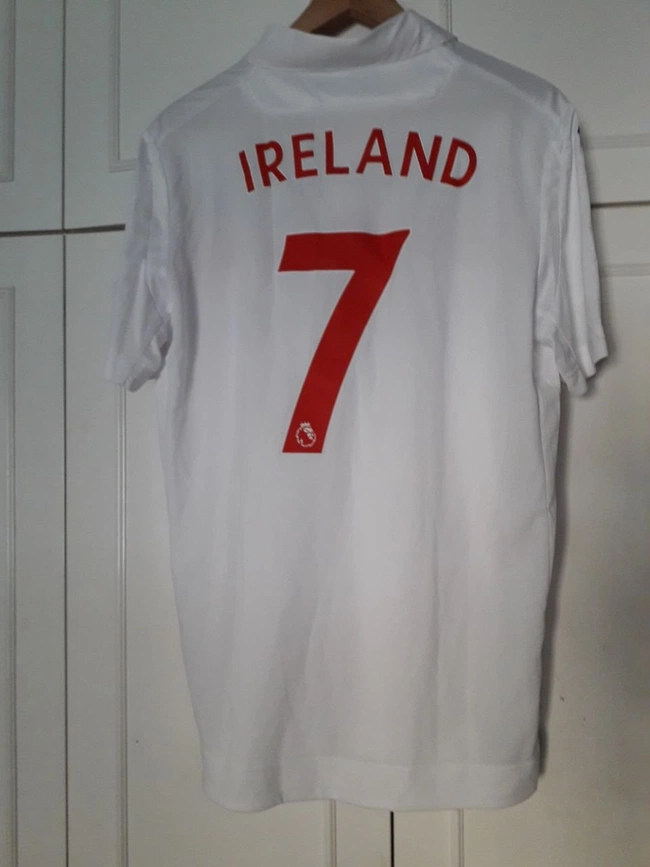 cover image of the auction item