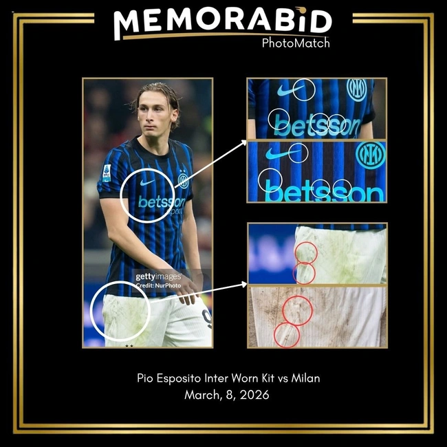 cover of the auction item