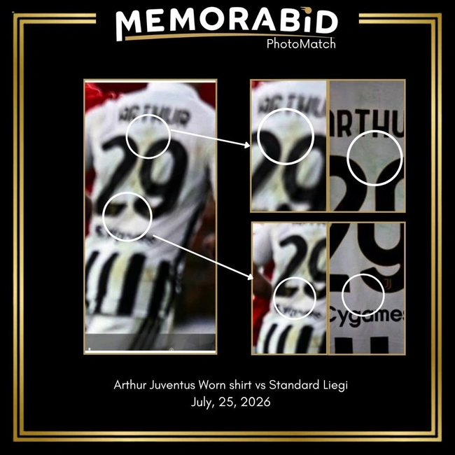 cover of the auction item