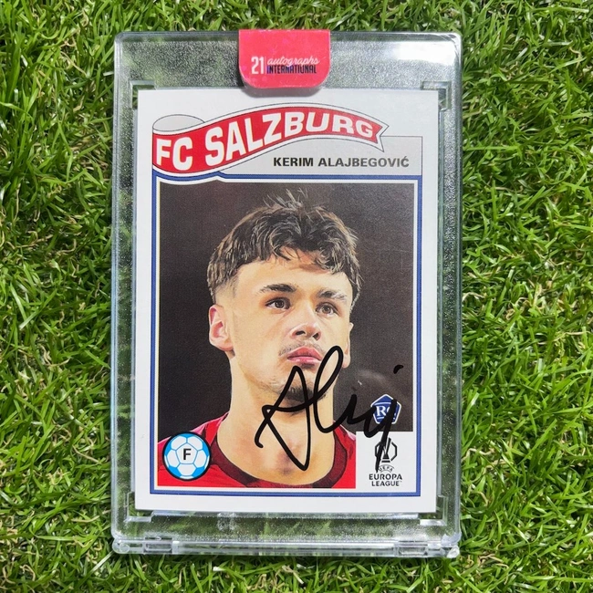 cover of the auction item