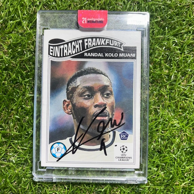 cover of the auction item
