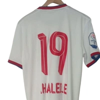 cover image of the auction item
