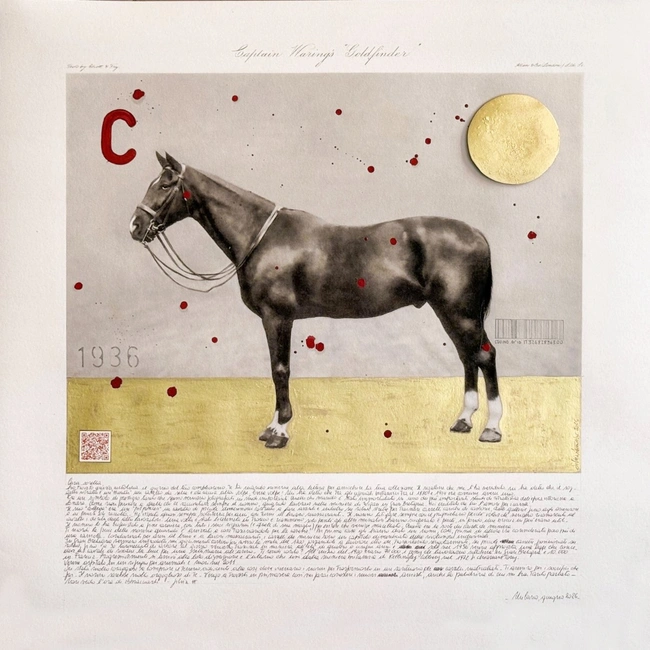 cover of the auction item