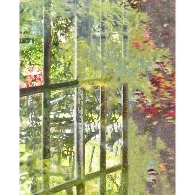 cover of the auction item