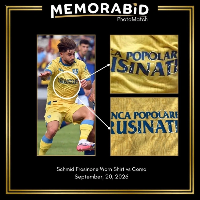 cover of the auction item