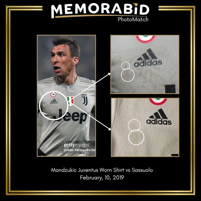 cover of the auction item