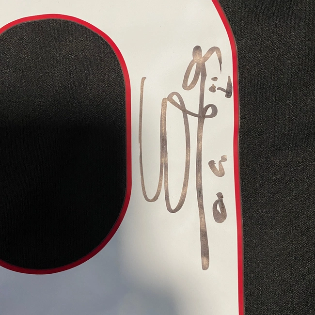 cover image of the auction item