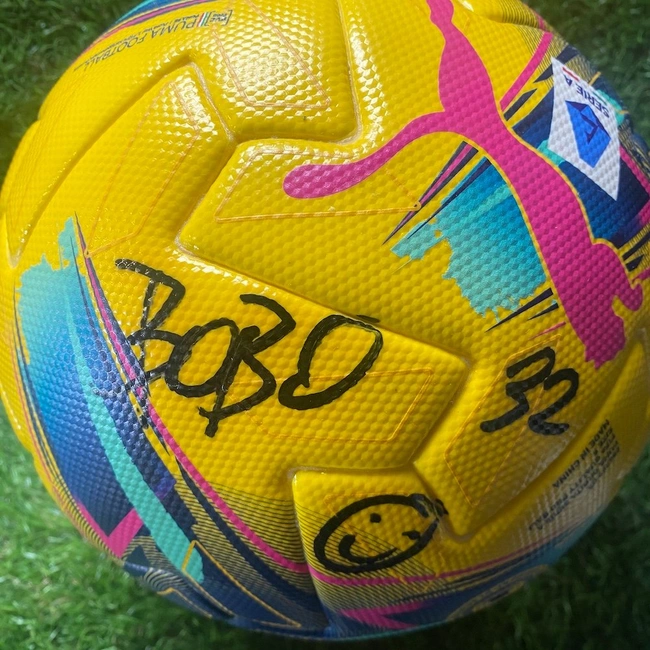 cover of the auction item