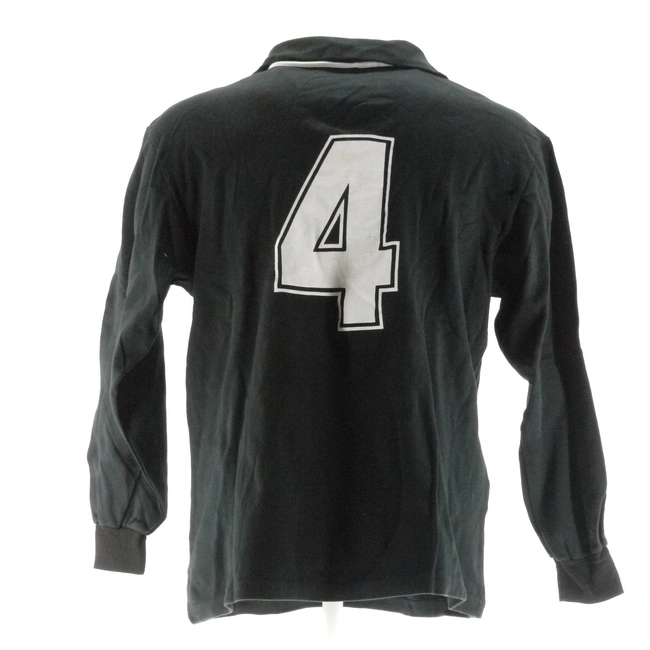 cover of the auction item