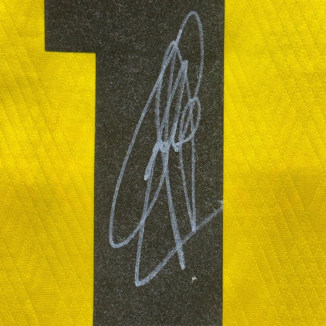 cover of the auction item