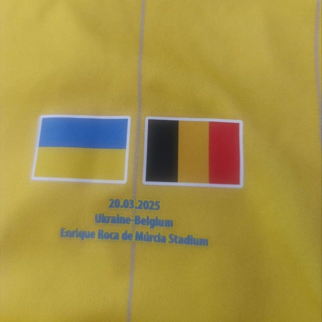 cover of the auction item