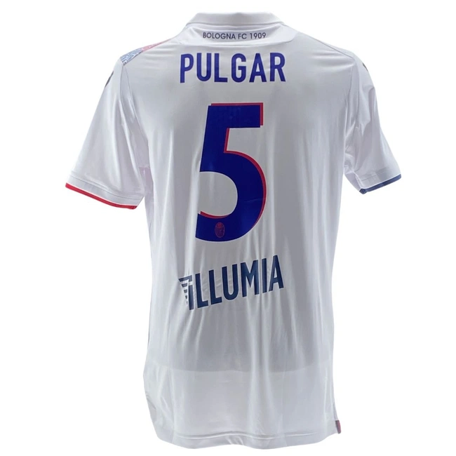 cover of the auction item