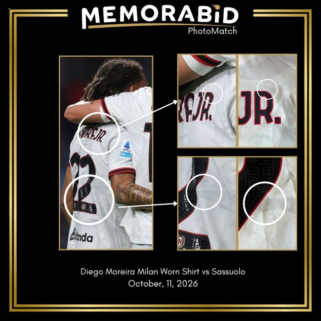 cover of the auction item