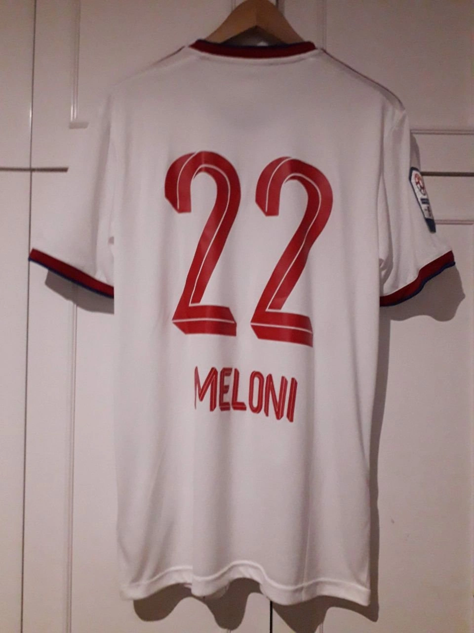 cover image of the auction item