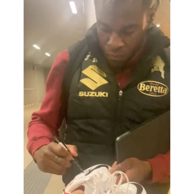 cover image of the auction item