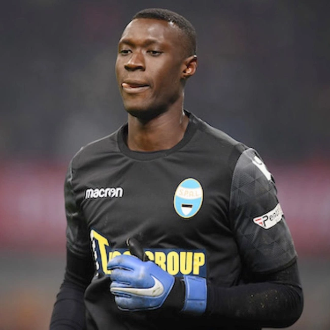 cover image of the auction item