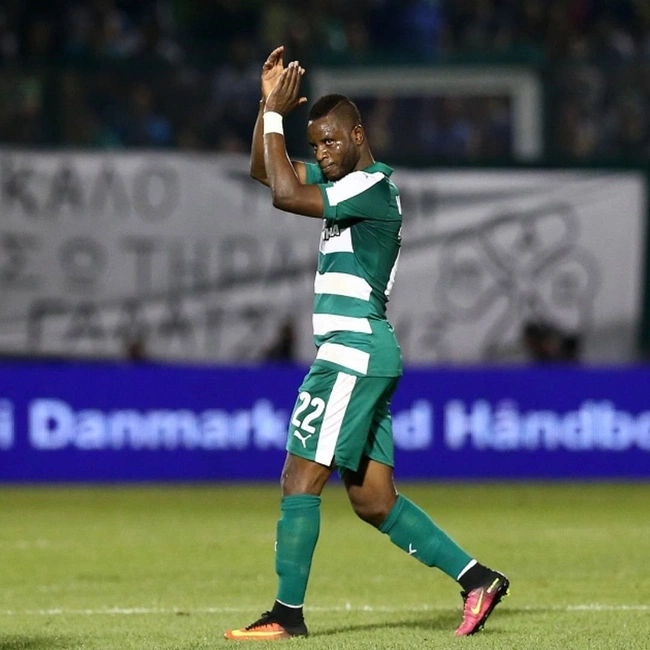 cover image of the auction item