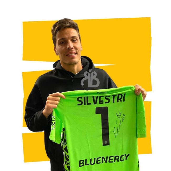 cover image of the auction item