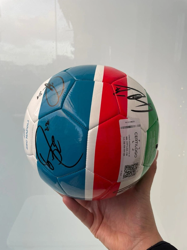 cover image of the auction item