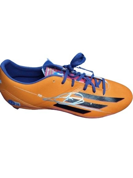 cover image of the auction item