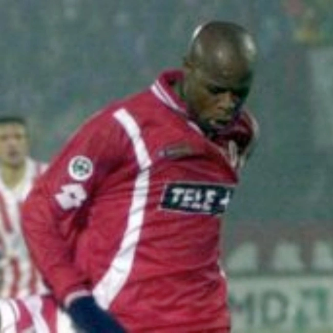 cover image of the auction item