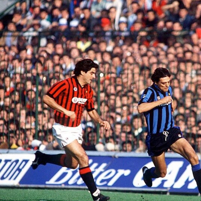 cover of the auction item