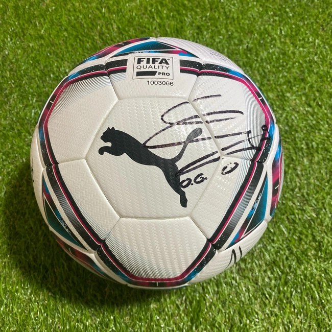 cover image of the auction item